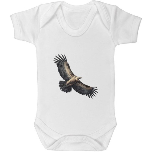 Andean condor flying baby - 'andean,