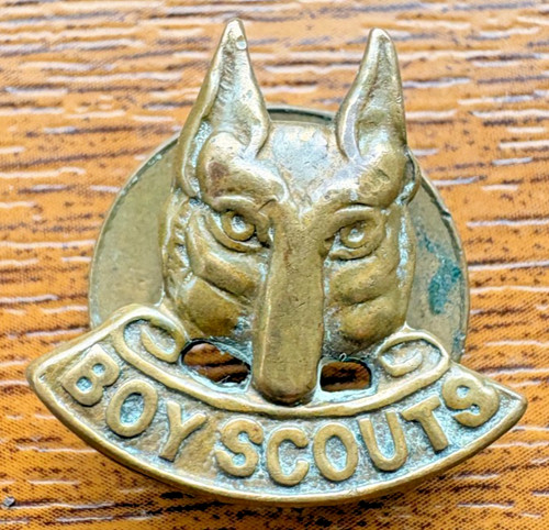 Boy scouts wolf - scouts, pin