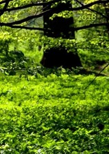 MY BIG FAT CALENDAR 2018-