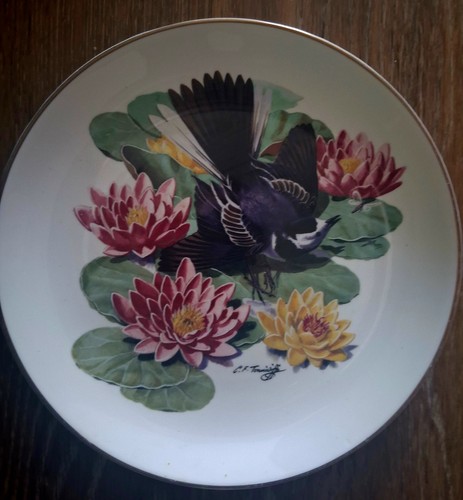 Charles tunnicliffe pied - tunnicliffe.-,