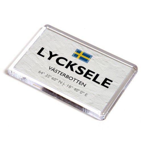 Fridge magnet lycksele - magnet,