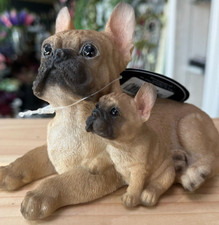 French bulldog with - french, pup
