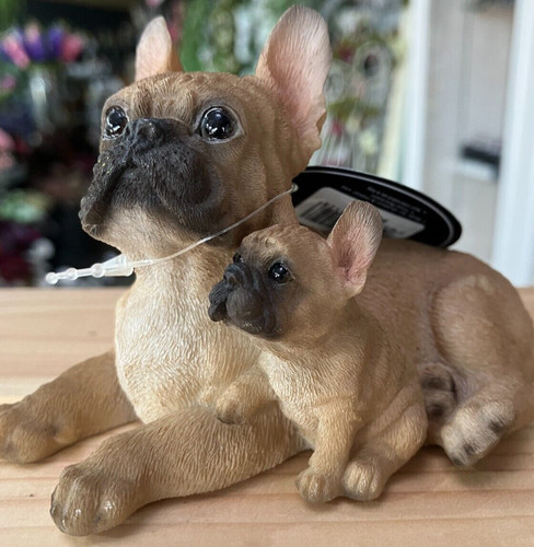 French bulldog with pup - pup, on