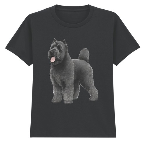 Bouvier des flandres - bouvier, dog