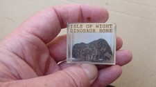 Dinosaur Bone Fossil Isle of