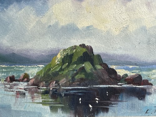 Thomas new zealand artist - ej,