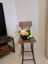 Japanese Fiber Optic LED