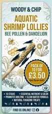 Shrimp lollies 10x Dandelion &
