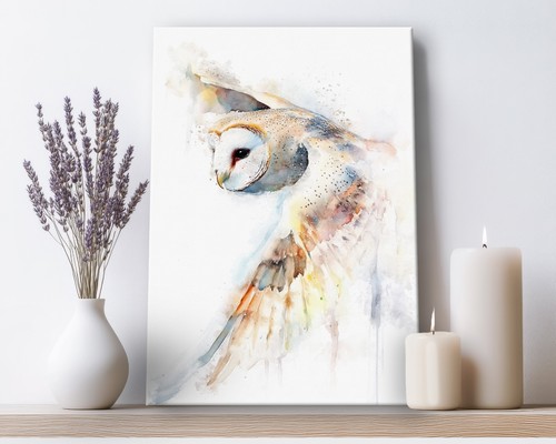 Barn owl canvas - wall, print