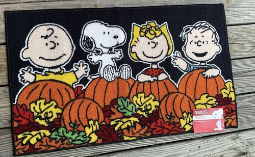 Peanuts gang accent rug - peanuts,