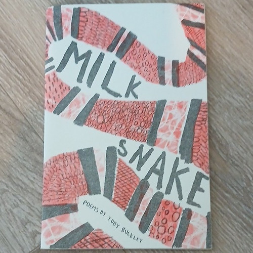 Milk snake toby buckley - snake,