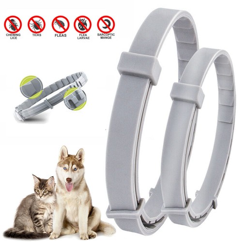 Dog cat flea - collar, and