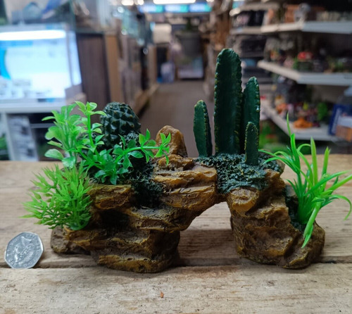 Desert stone cactus arch - stone,