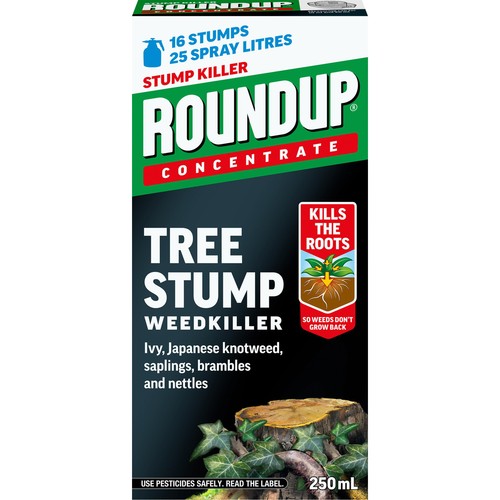 Concentrated tree stump - concentrated, &