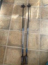 Gabel Master Ski Poles