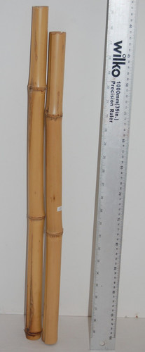 Bamboo poles reptiles - bamboo, craft