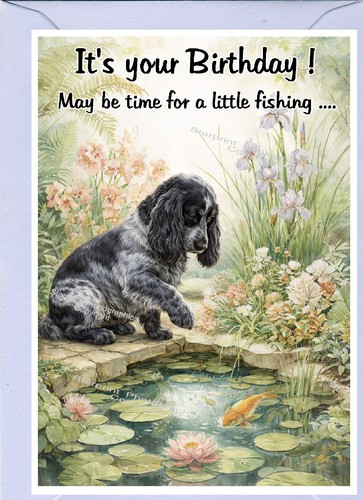 Cocker spaniel blue - spaniel, dog