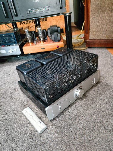Cayin 100t integrated - cayin, a-100t
