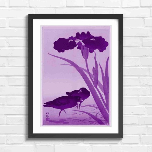 Vintage japanese iris and - iris,