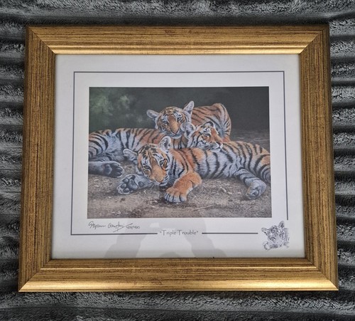 Stephen gayford signed - stephen,