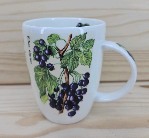 Ringtons berries mug - mug, fine