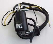 Volt ignition coil - coil, dual