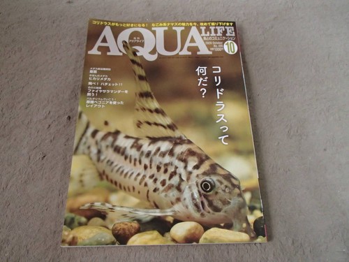 Monthly aqua life - monthly,