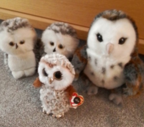 Owl who was afraid - who,