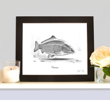 CLARISSA Fishing Art Robin