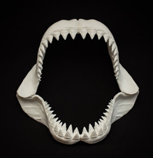 Great White Shark Jaw Replica