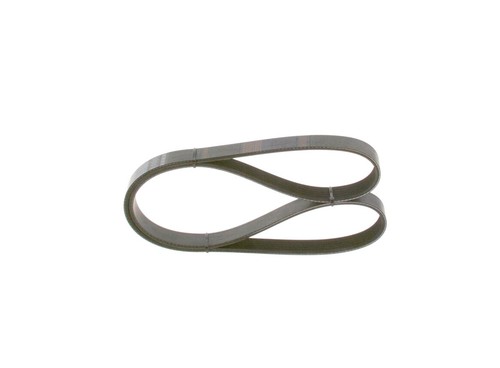 Bosch ribbed belt for - bosch,