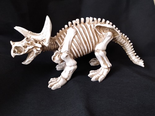White skeleton dinosaur - skeleton,