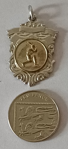 Cricket medal - cricket,