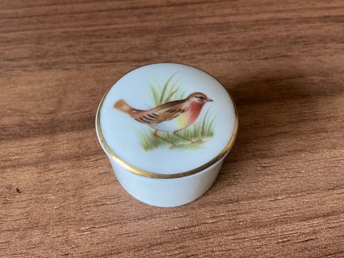 Tiny spode robin - bird, fine