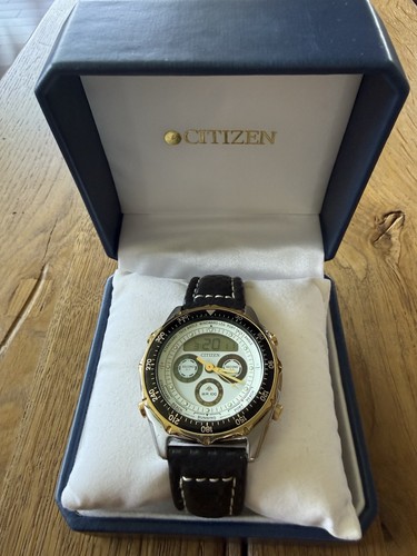 Citizen pro master wr100 - pro,