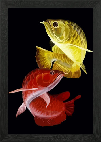 Red and gold arowana fish - and,