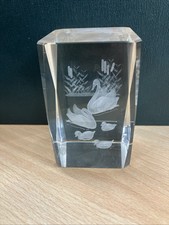 Laser Etched Swans & Cygnets