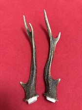 PAIR OF SIKA DEER ANTLERS