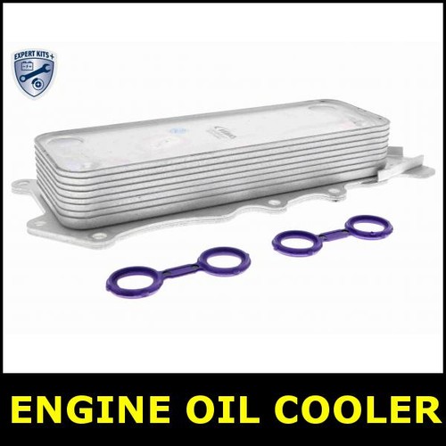 Engine oil cooler - engine,