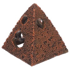  Aquarium Accessories Fish