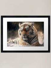 Snowing Siberian Tiger Artwork