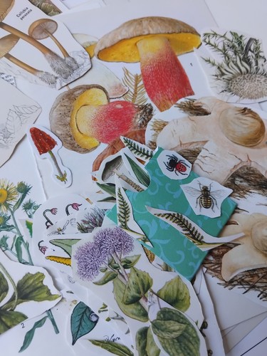Vintage junk journal ephemera - vintage,