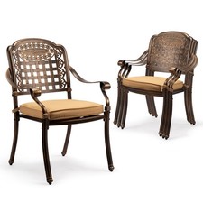 Patio Chairs 2PCS Cast
