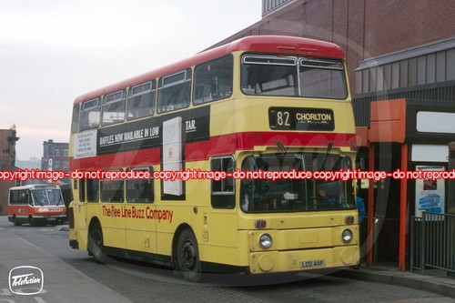 Bus photo bee - bee, line