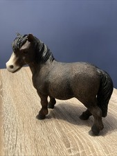 Shetland Pony by Leonardo