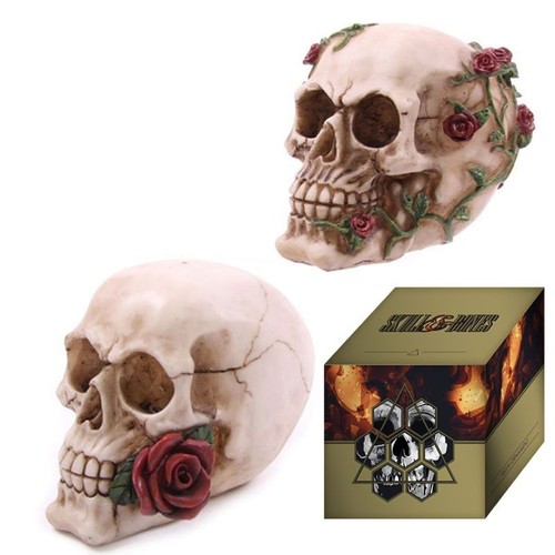 Skull with roses - roses,