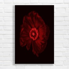 Vibrant red poppy - red,