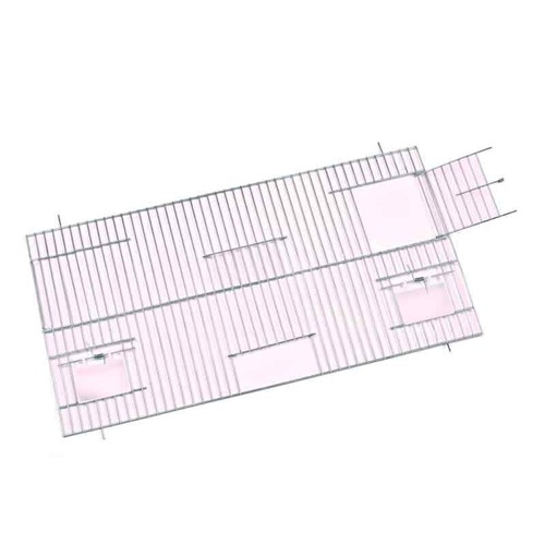 Bird cage front breeding - bird,