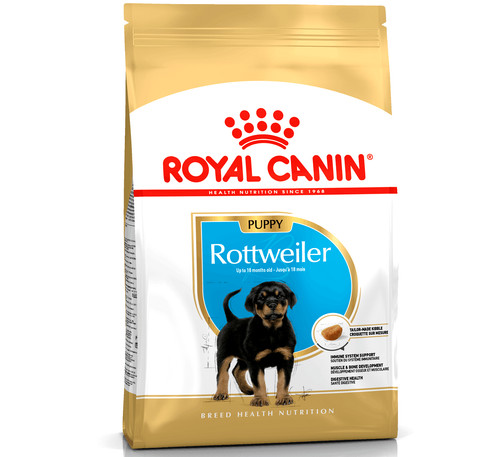 Rottweiler puppy - (12kg),