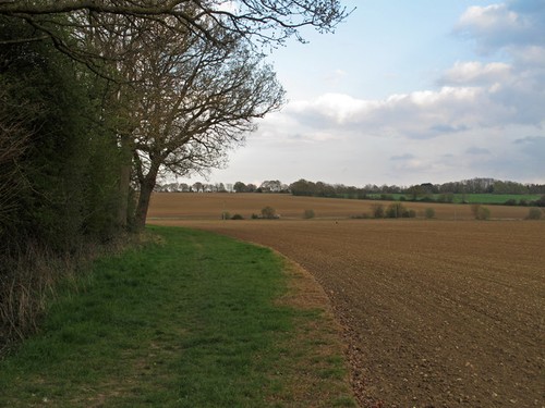 Photo path field - path,